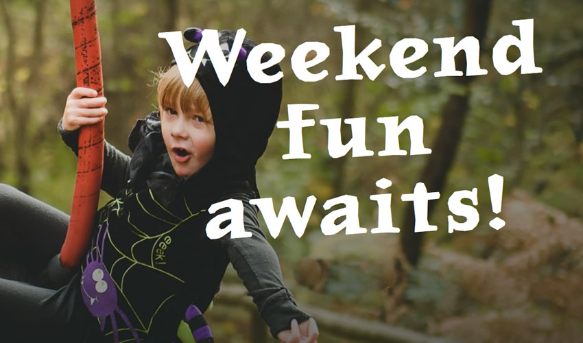 Bewilderwood