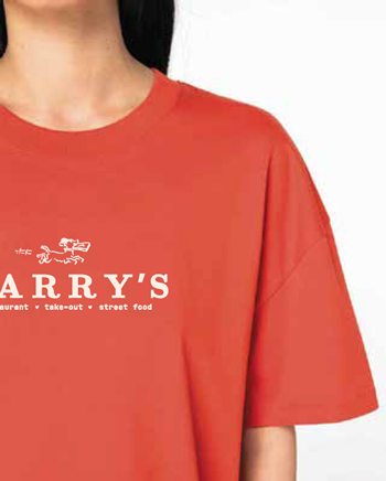 Larry's ladies oversized t-shirt, in paprika